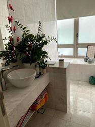 The Coast at Sentosa Cove (D4), Condominium #460655921